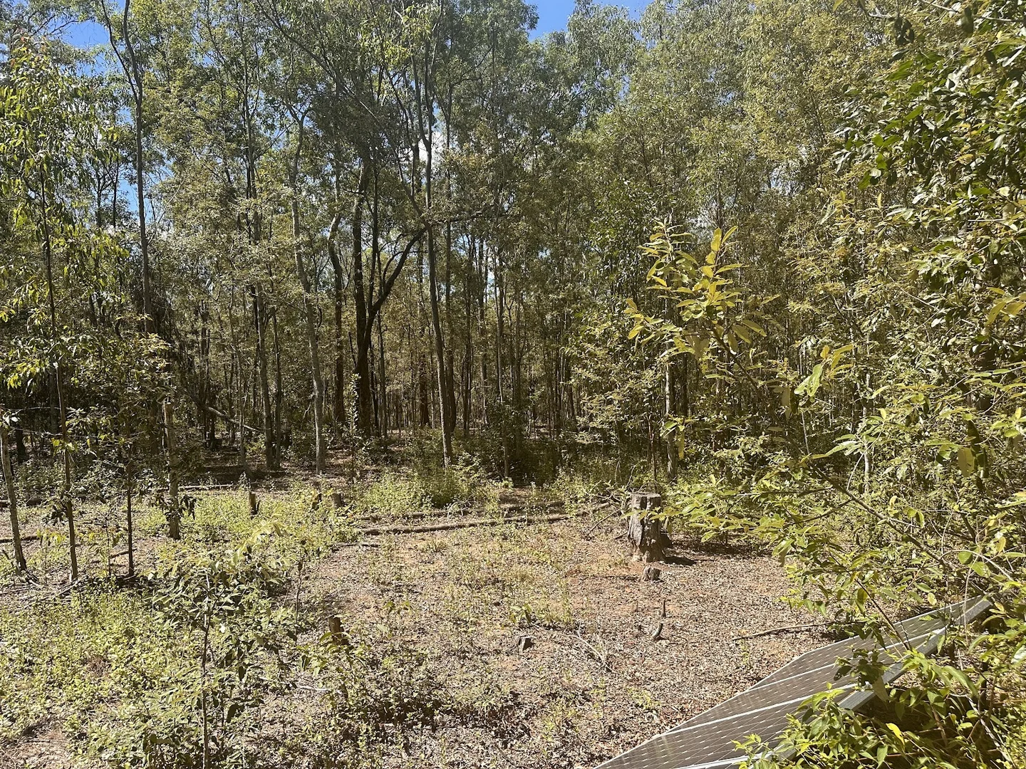 Additional image 24 of 289 Mount Mulgowie Road, Buaraba QLD 4311