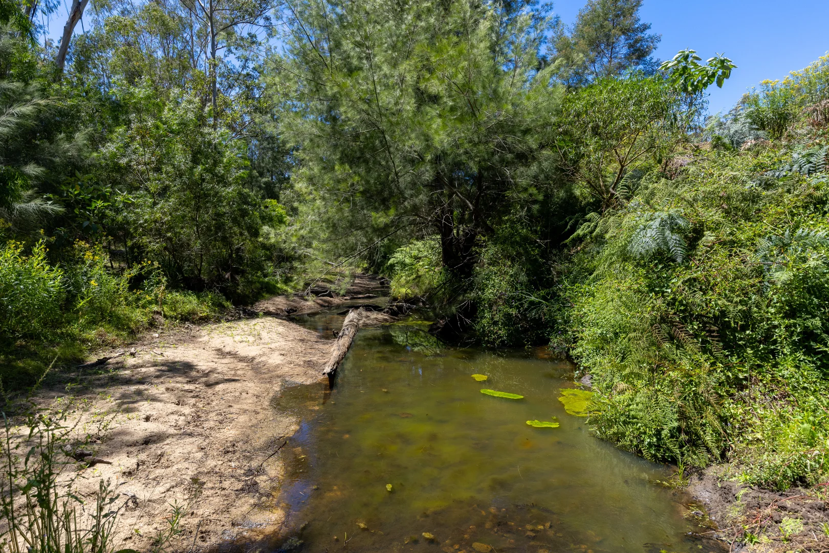Image 24