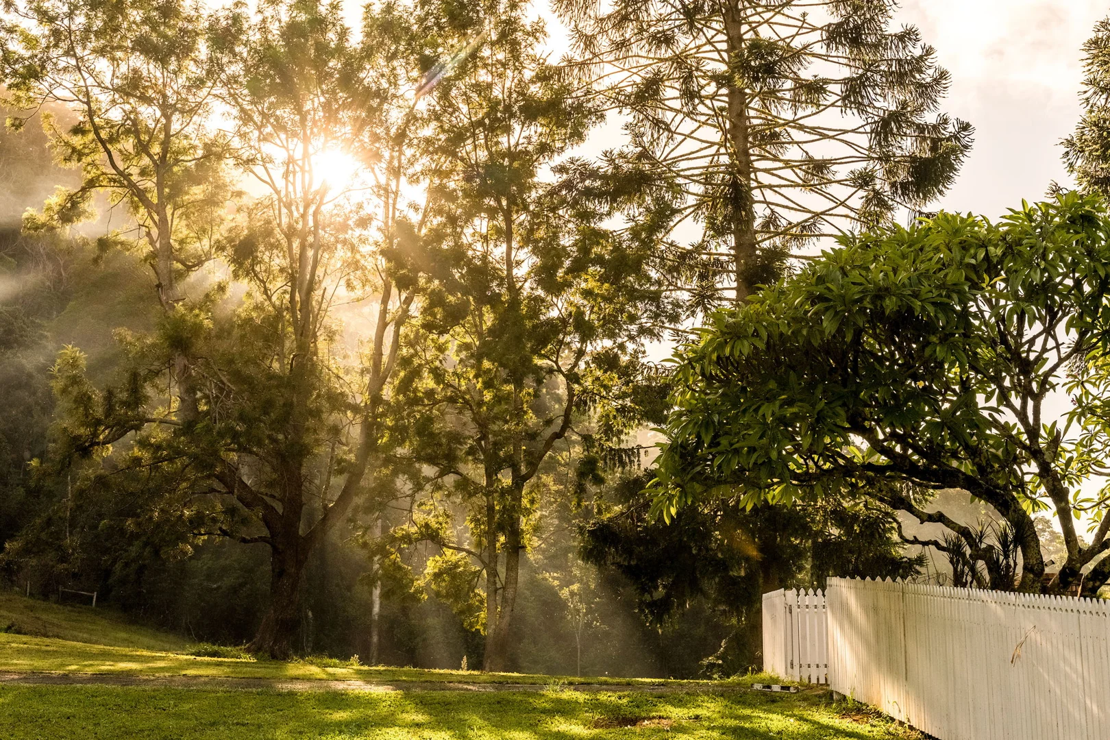 Additional image 31 of 1028 Wilsons Creek Road, Wilsons Creek NSW 2482