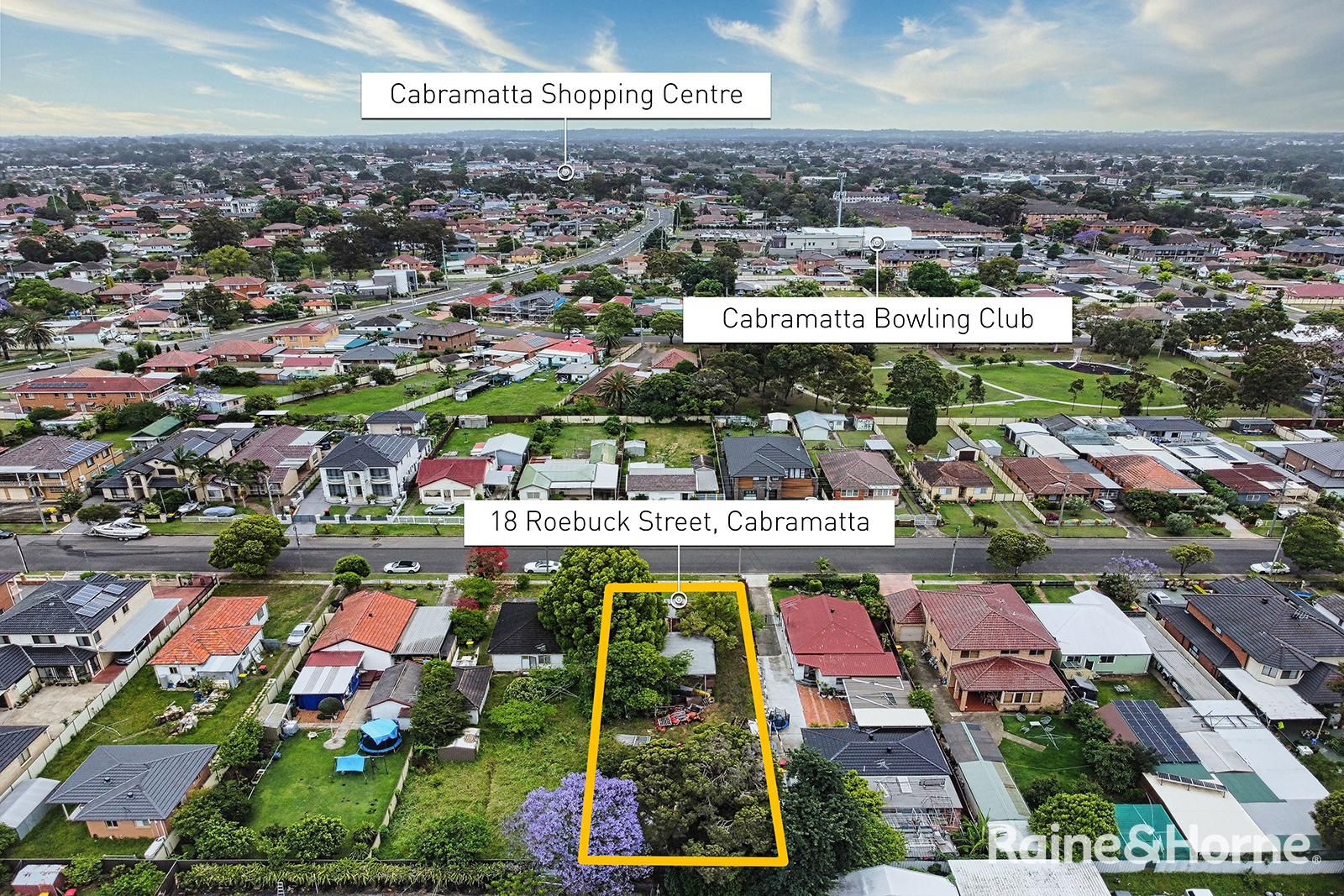 18 Roebuck Street, Cabramatta NSW 2166, Image 1