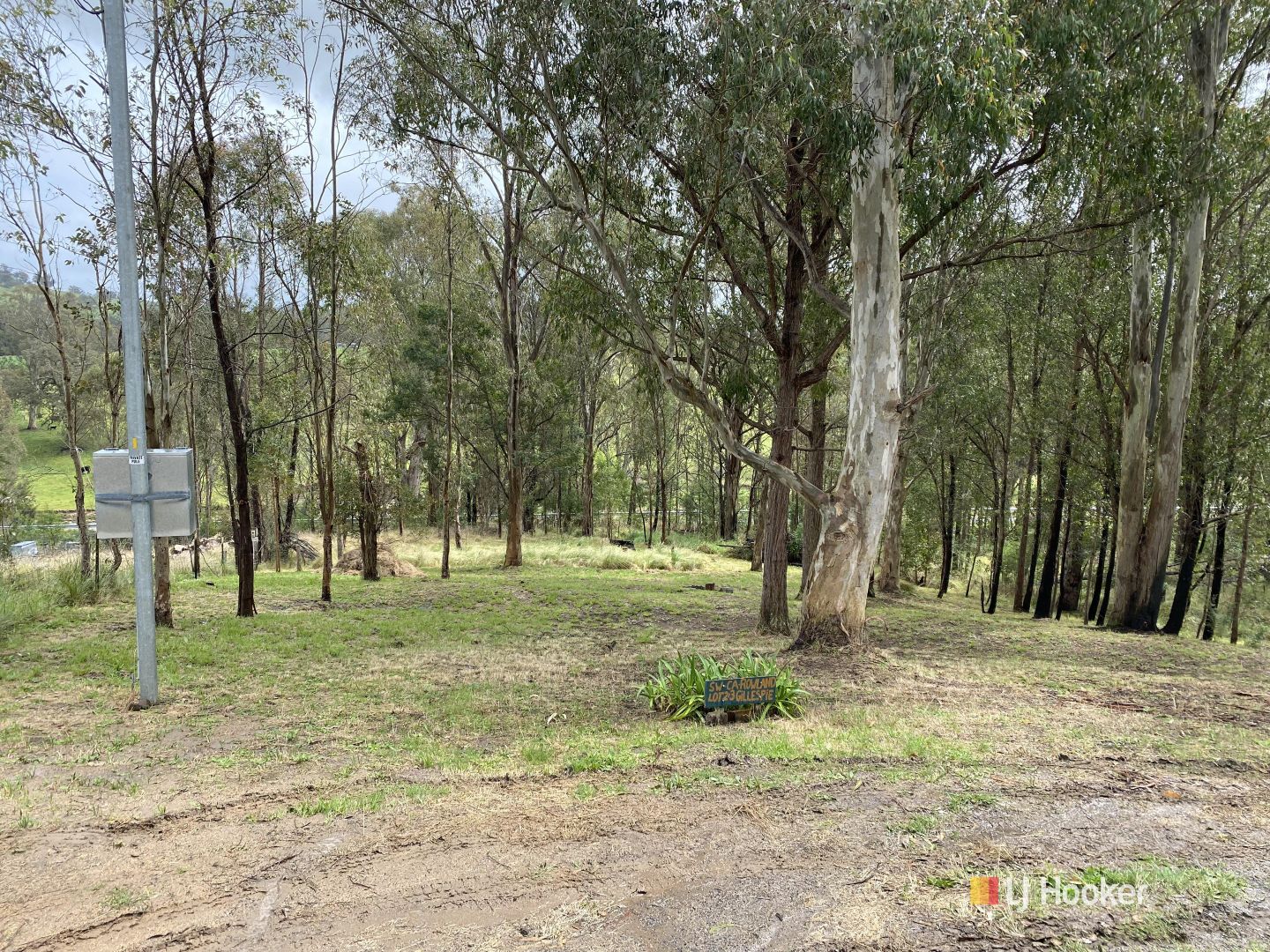 Lot 2 & 3 Gillespie Street, Cobargo NSW 2550 Domain