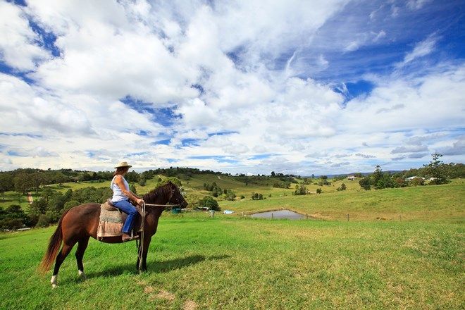 Picture of 55 Happy Jack Creek Road, RIDGEWOOD QLD 4563