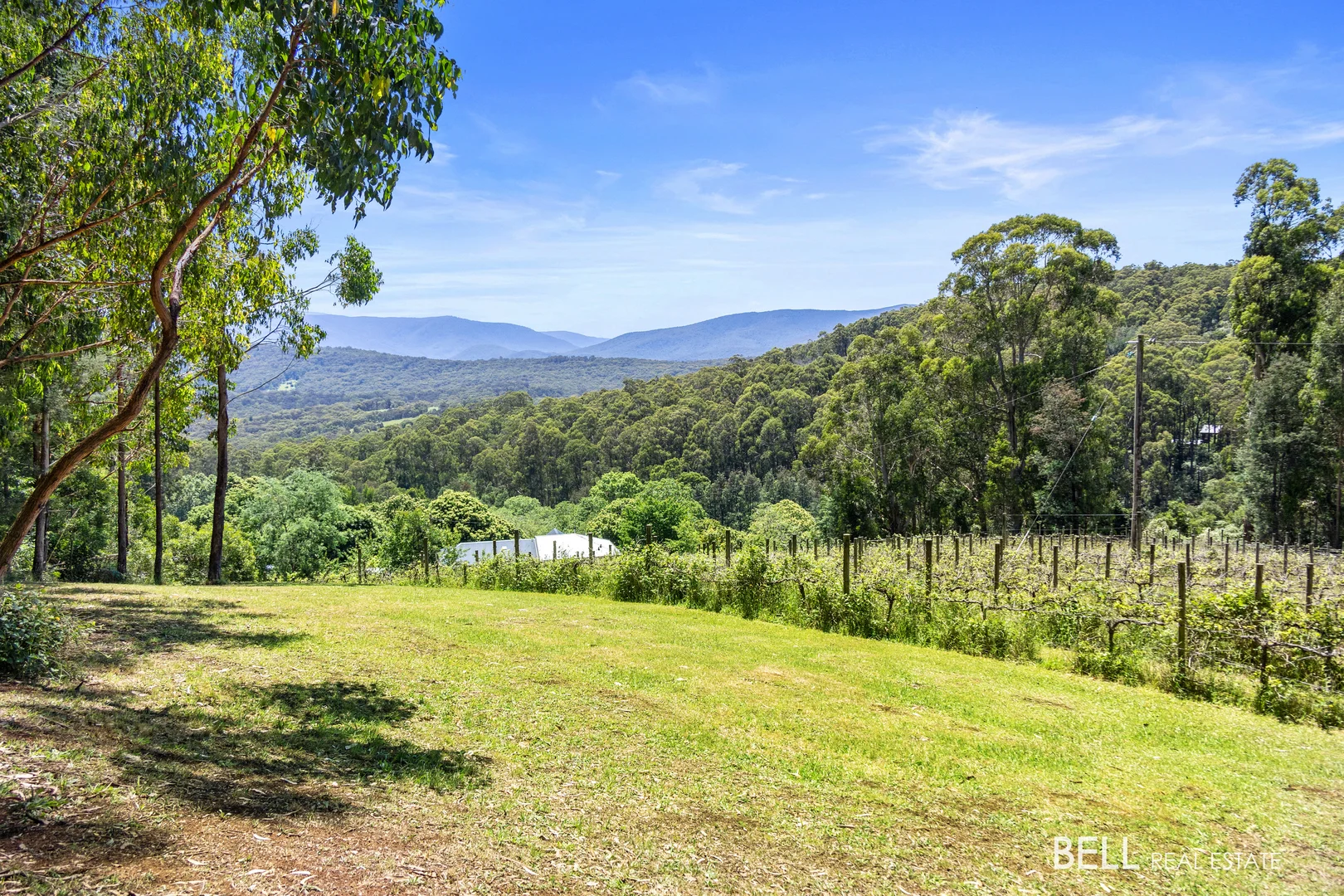 Additional image 2 of 795 Gembrook-Launching Place Road, Hoddles Creek VIC 3139