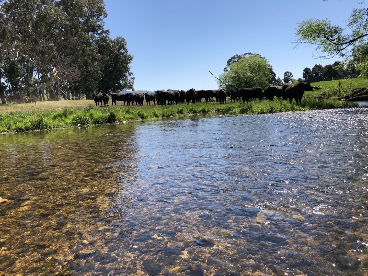 'Colynda Vale'/691 Tallangatta Creek Rd, Tallangatta Valley VIC 3701, Image 1