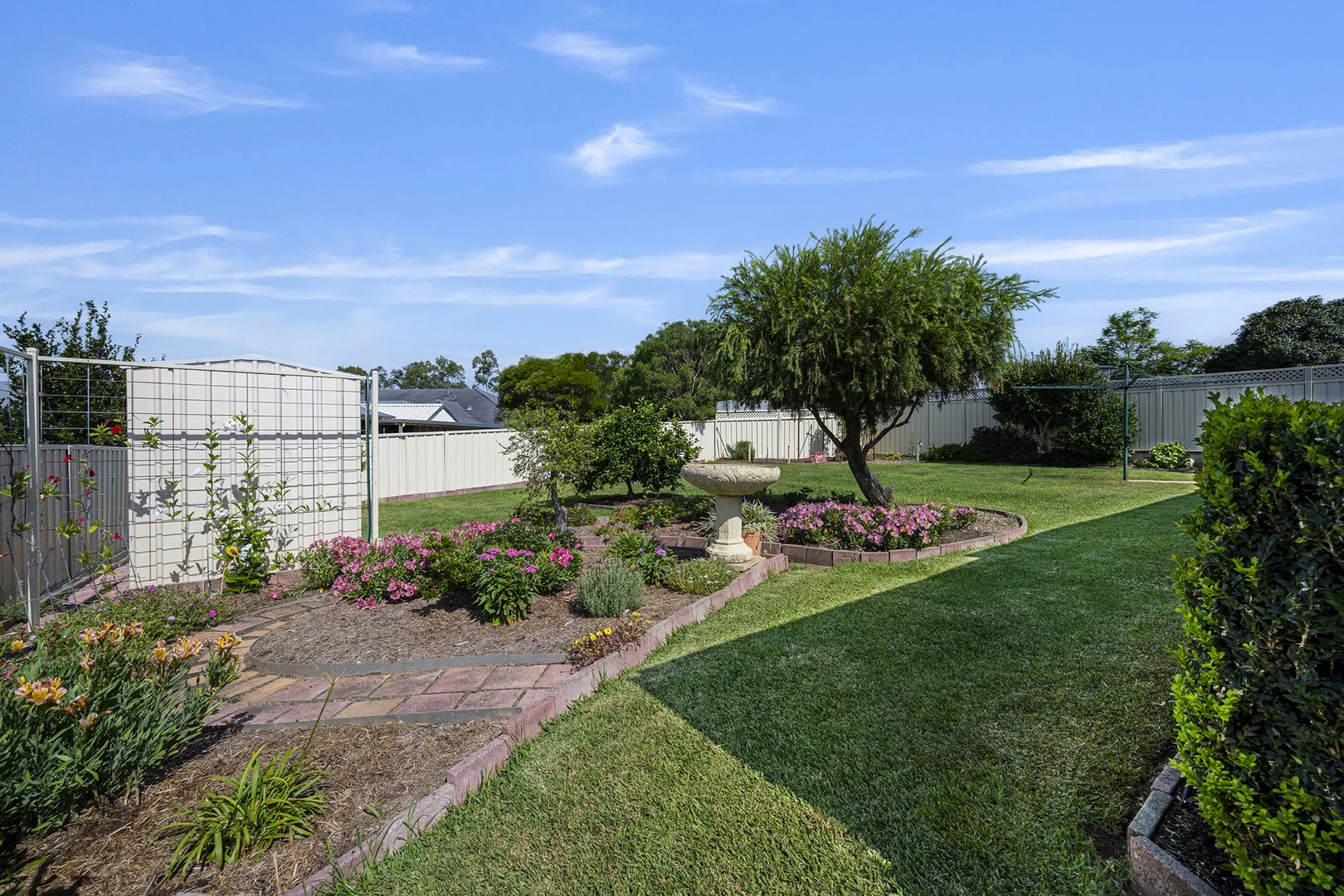 Image 13