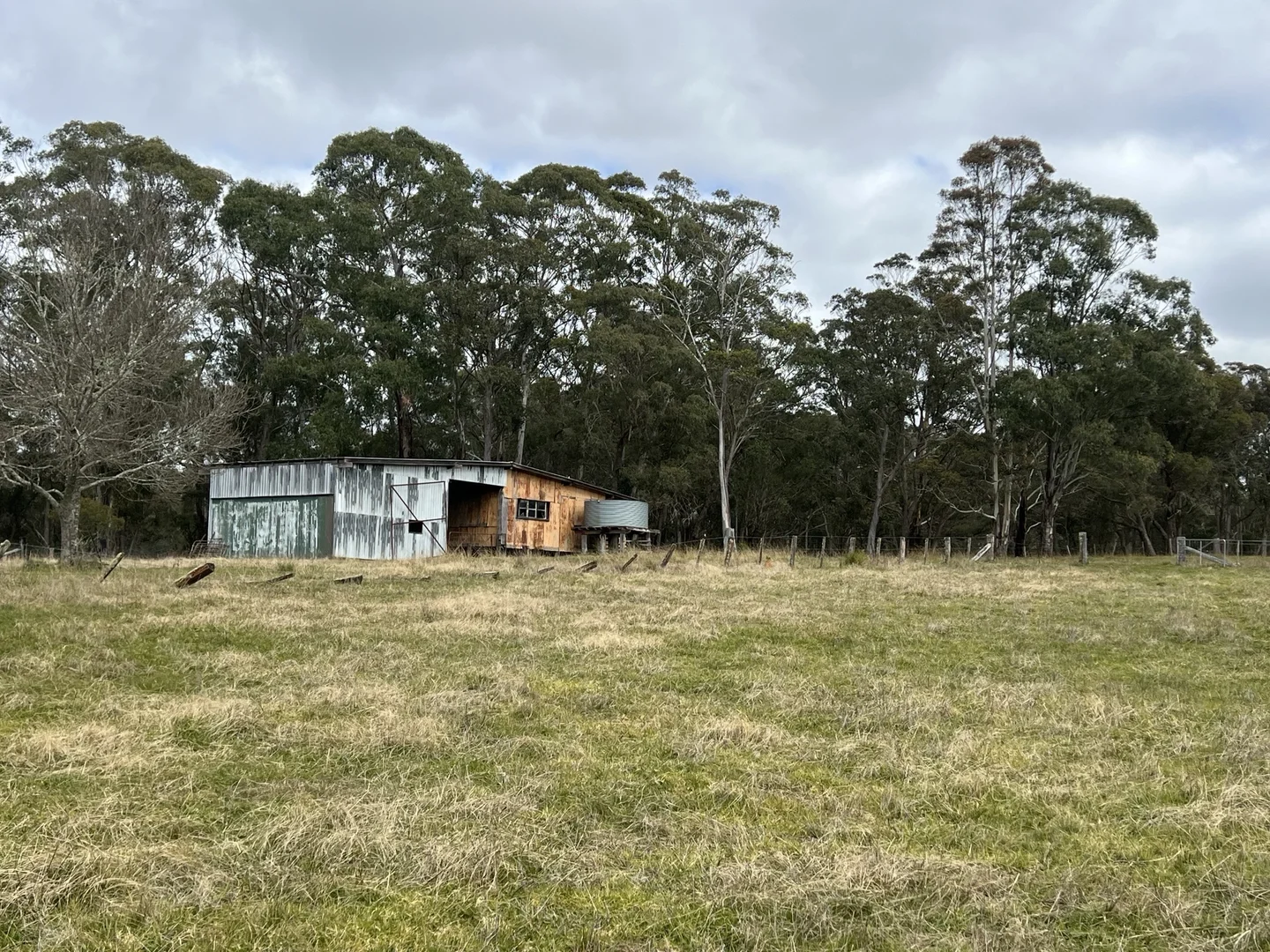 Image 8