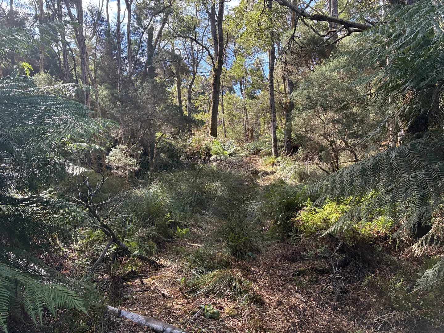 Additional image 8 of 306 Coopers Road, Rocky Cape TAS 7321