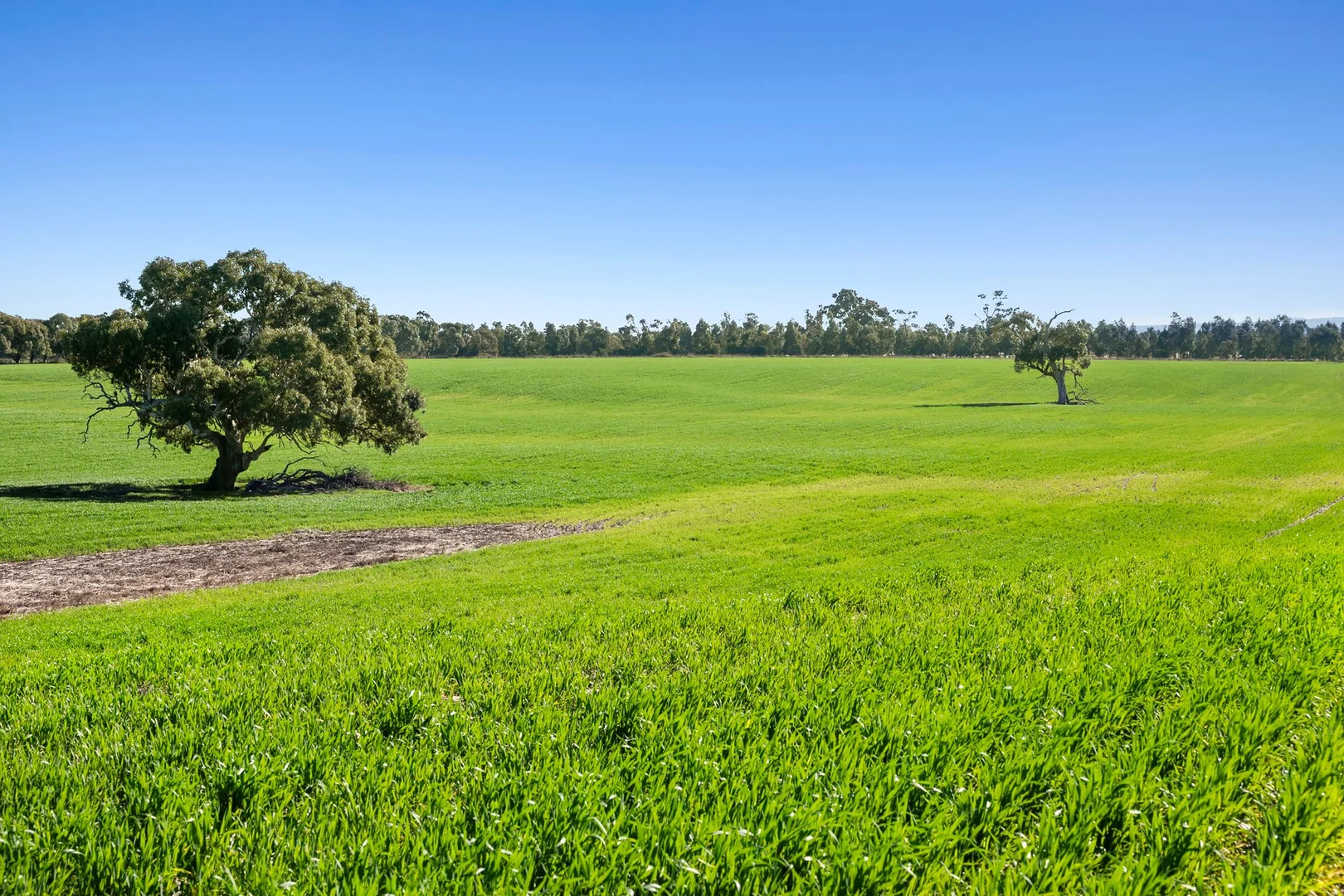 Image 9