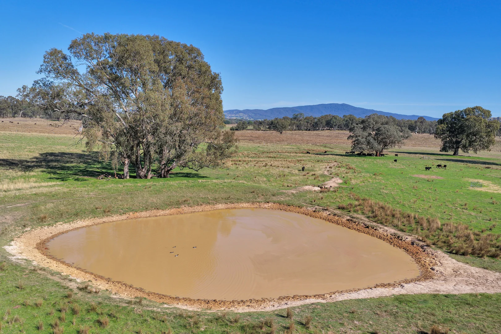 Additional image 5 of Lot 1 Midland Highway, Mansfield VIC 3722