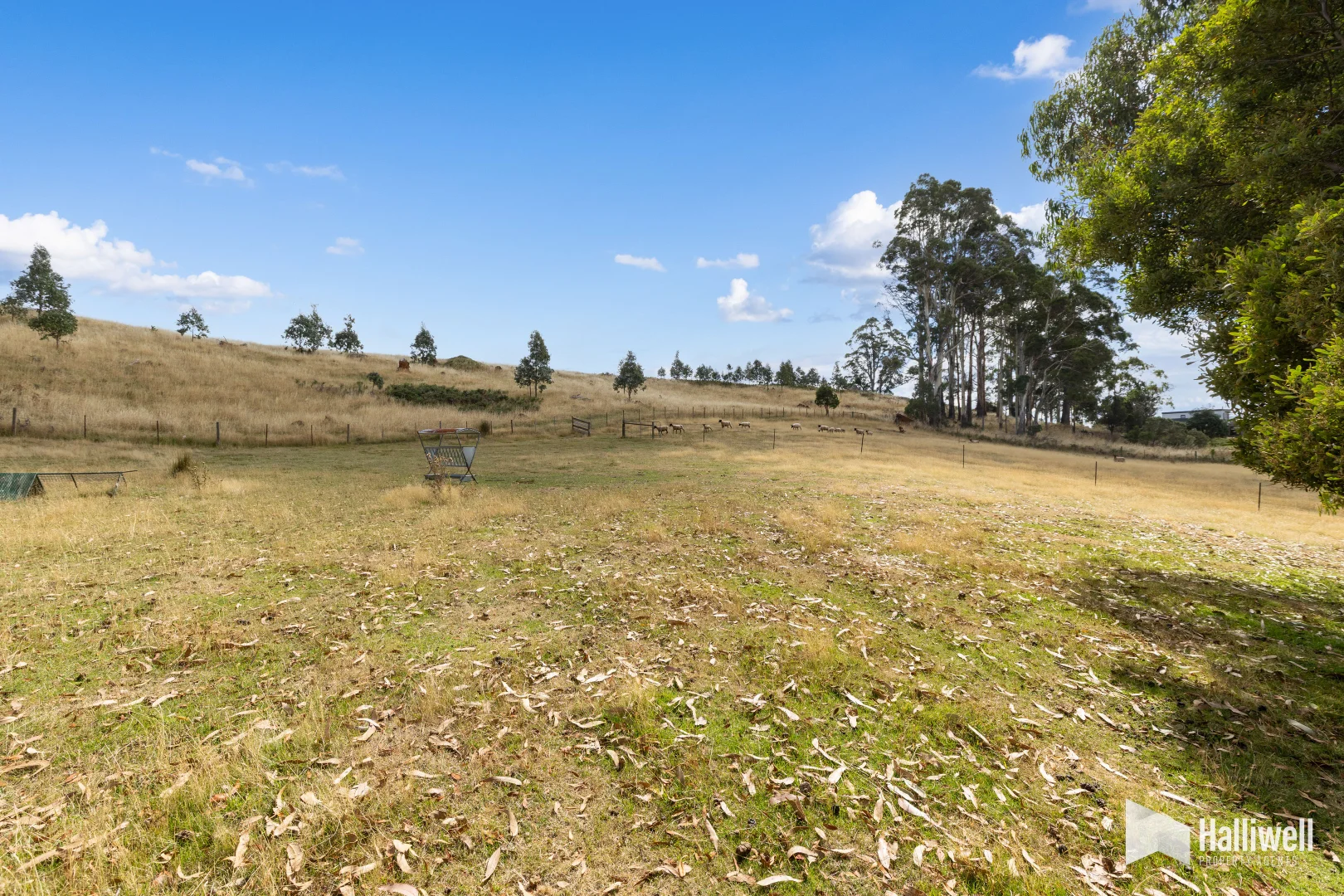 Additional image 29 of 370 Staverton Road, Promised Land TAS 7306