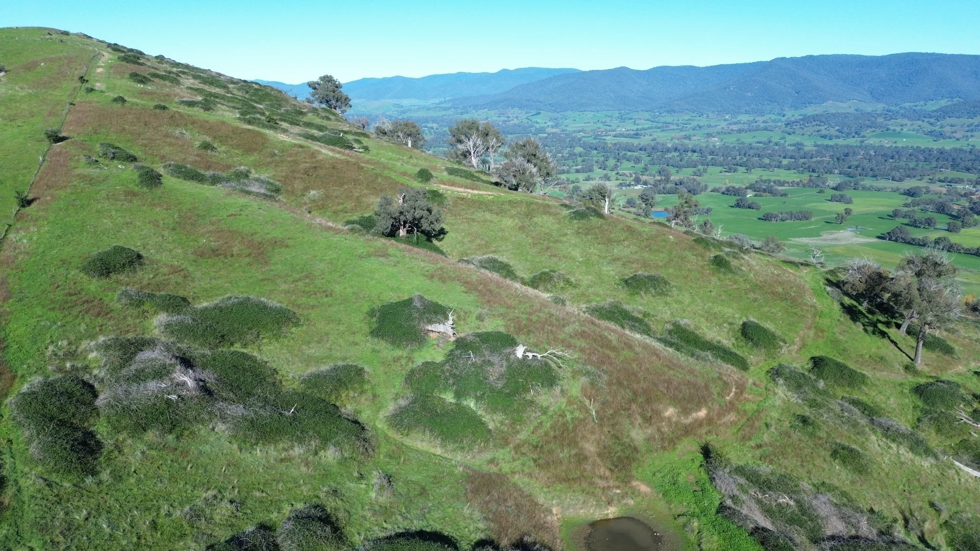 Image 15