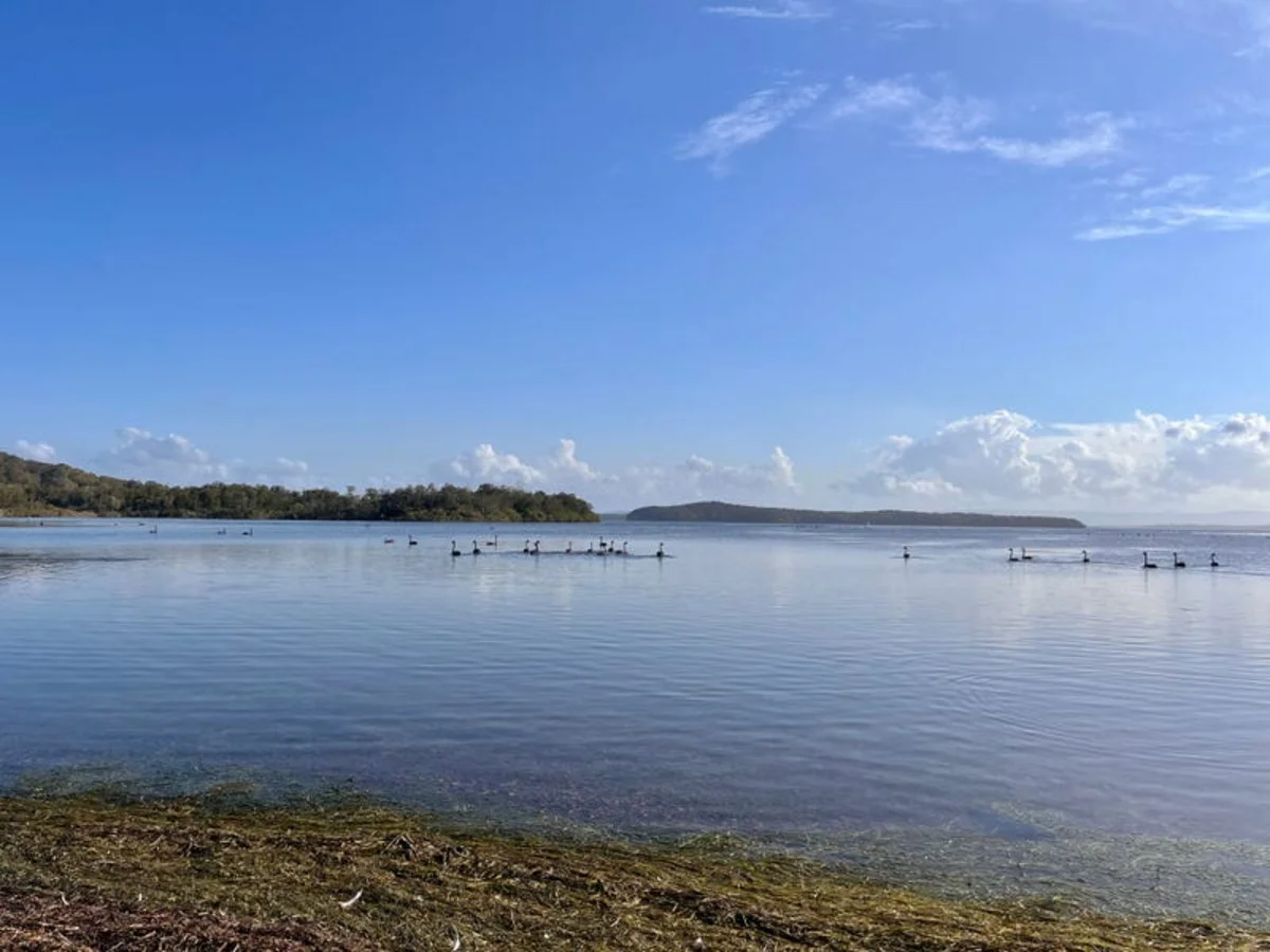 Additional image 16 of 11 Milray Street, Swansea NSW 2281