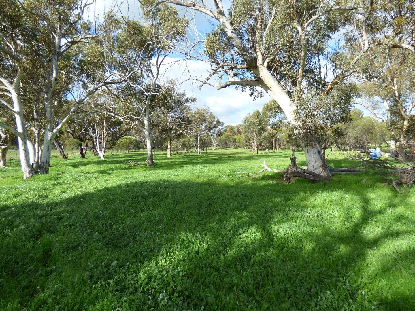 Lot 153 Bejoording Rd, Bejoording WA 6566, Image 0