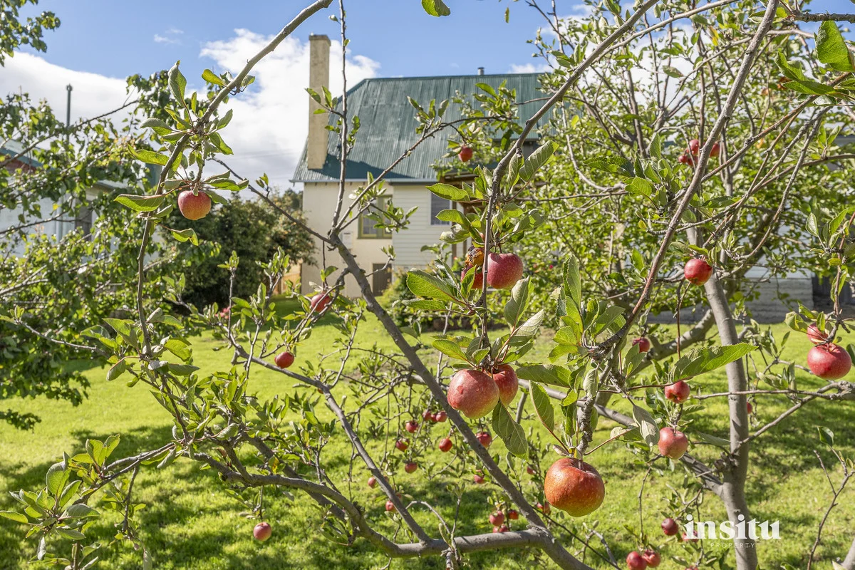 Additional image 25 of 120 Bowen Road, Lutana TAS 7009