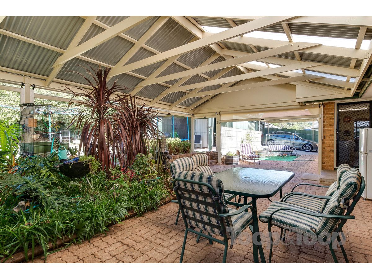 66 Haines Road, Banksia Park SA 5091, Image 1