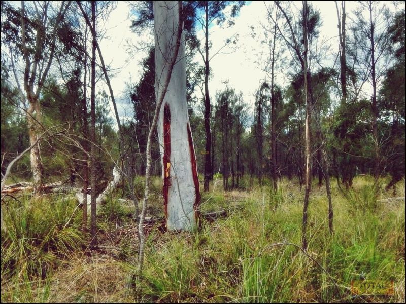Wattle Ridge QLD 4357 - Vacant Land for Sale | Domain