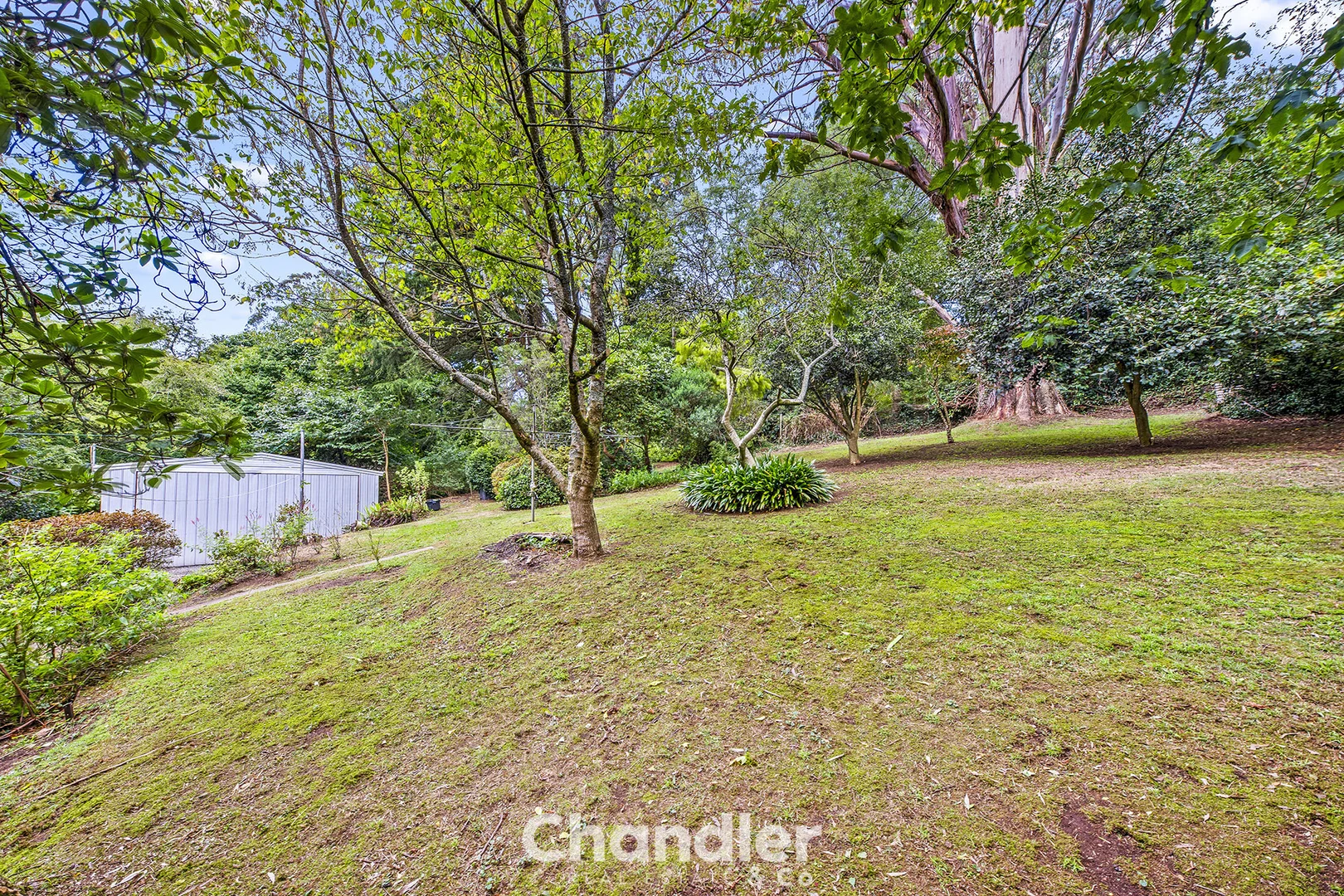 Additional image 15 of 533-535 Mt Dandenong Tourist Road, Olinda VIC 3788