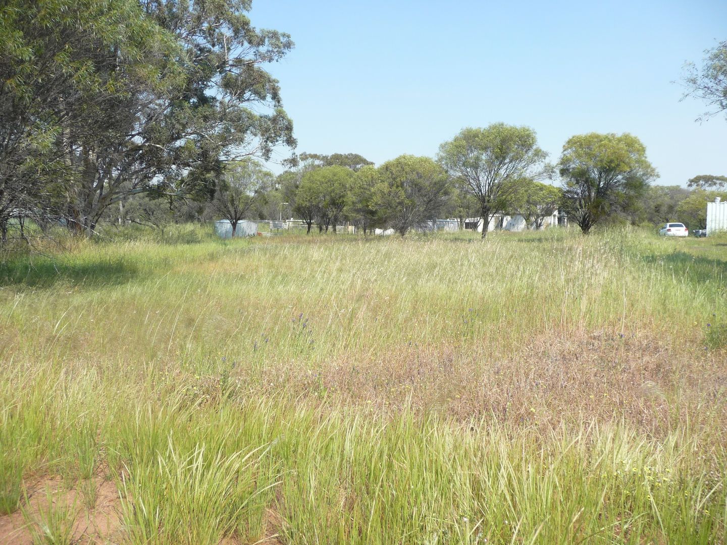 Lot 122 Scott Street, Mount Hardey WA 6302, Image 1