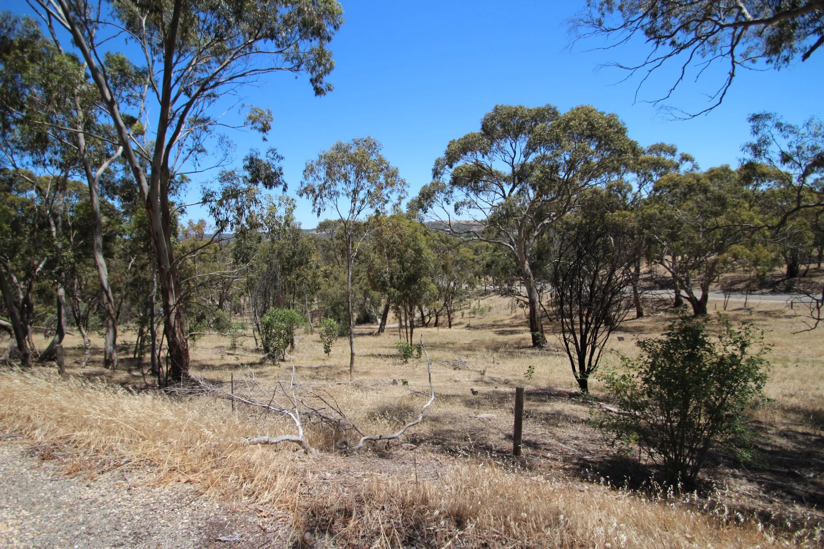 Image 10