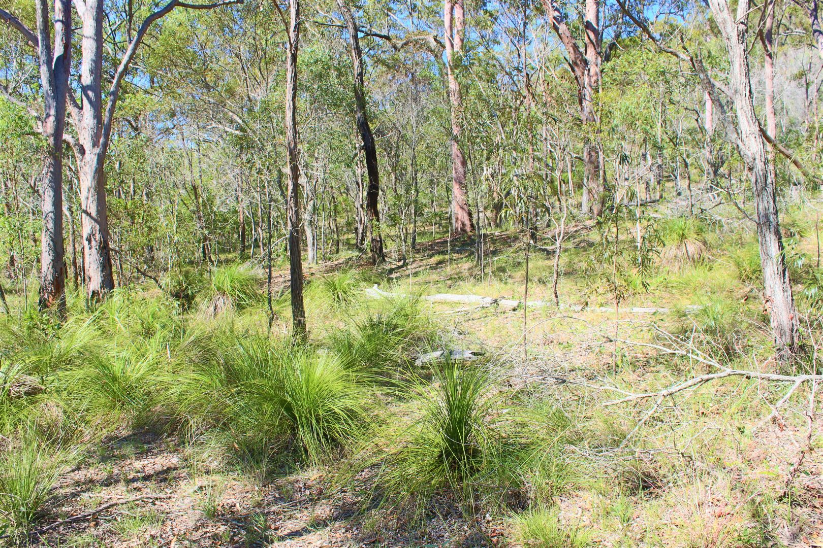 Bills Road, Agnes Water QLD 4677, Image 1