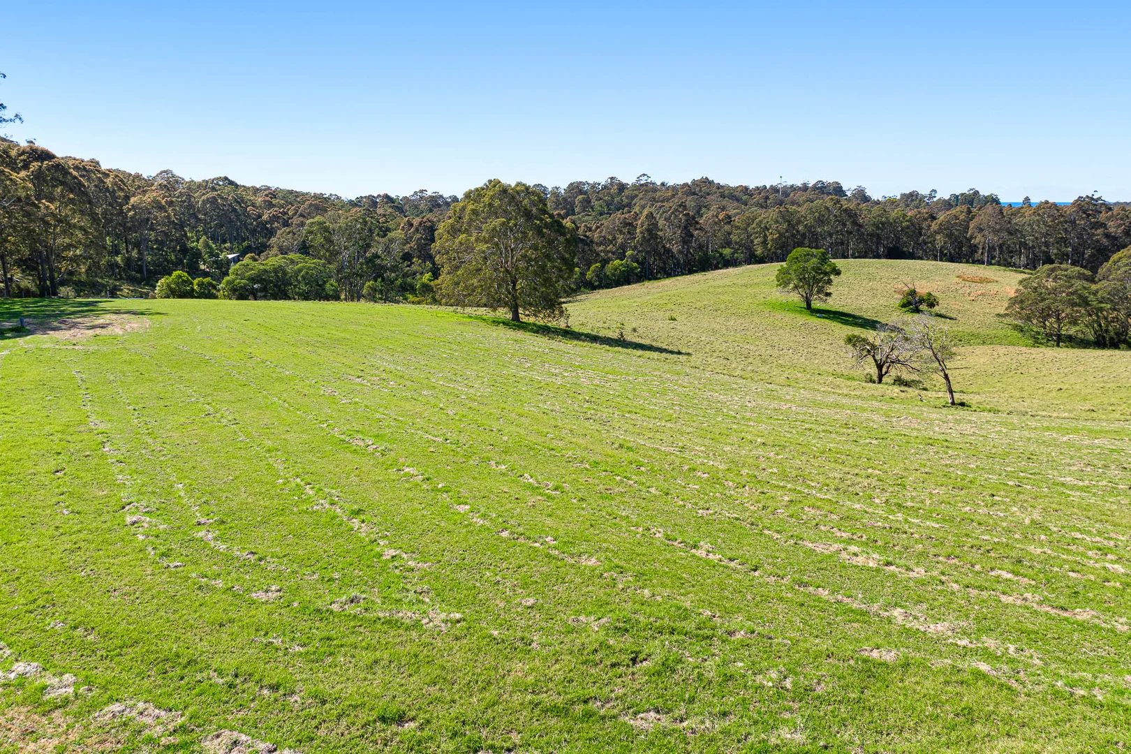 Image 13