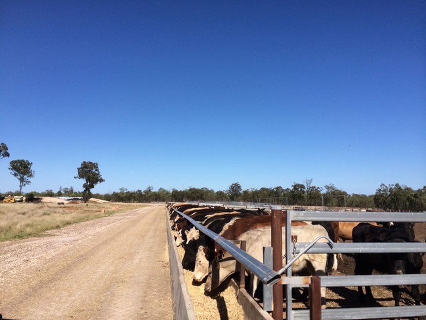 Goondiwindi QLD 4390, Image 2