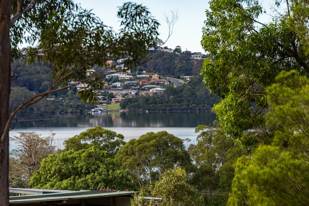 Image 11