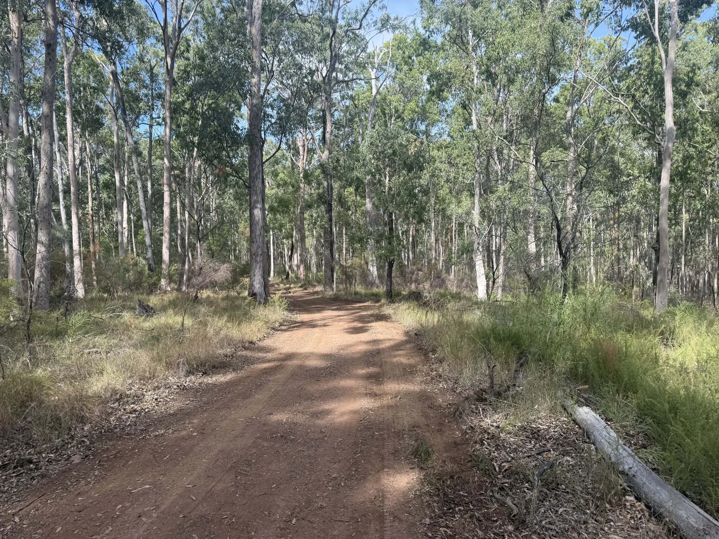 Image 8