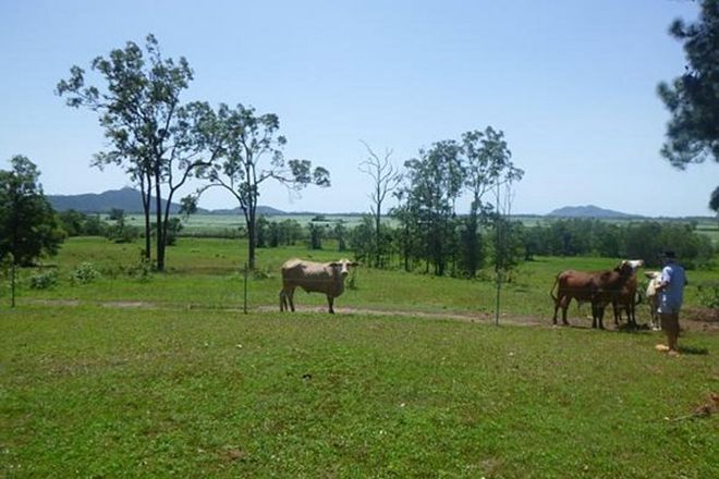 Picture of 1 Christies Road, BEMERSIDE QLD 4850