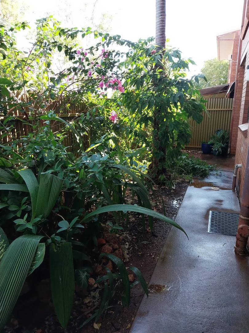 Image 18