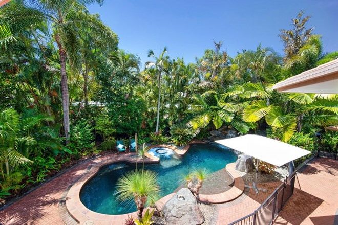 Picture of 6 - 8 Whitehaven Court, CLIFTON BEACH QLD 4879