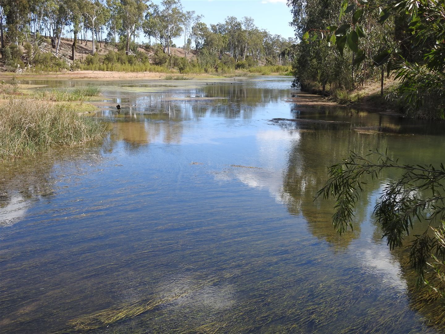 Mundubbera QLD 4626, Image 0