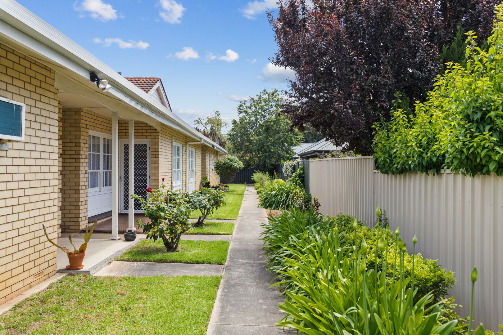 5/390 Unley Road, Unley Park SA 5061, Image 1