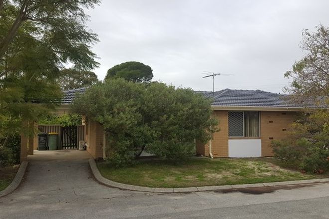Picture of 5/72-74 Barbican Street, SHELLEY WA 6148