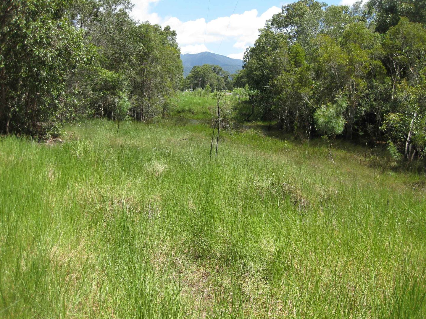 - Bluff Road, Bilyana QLD 4854, Image 2