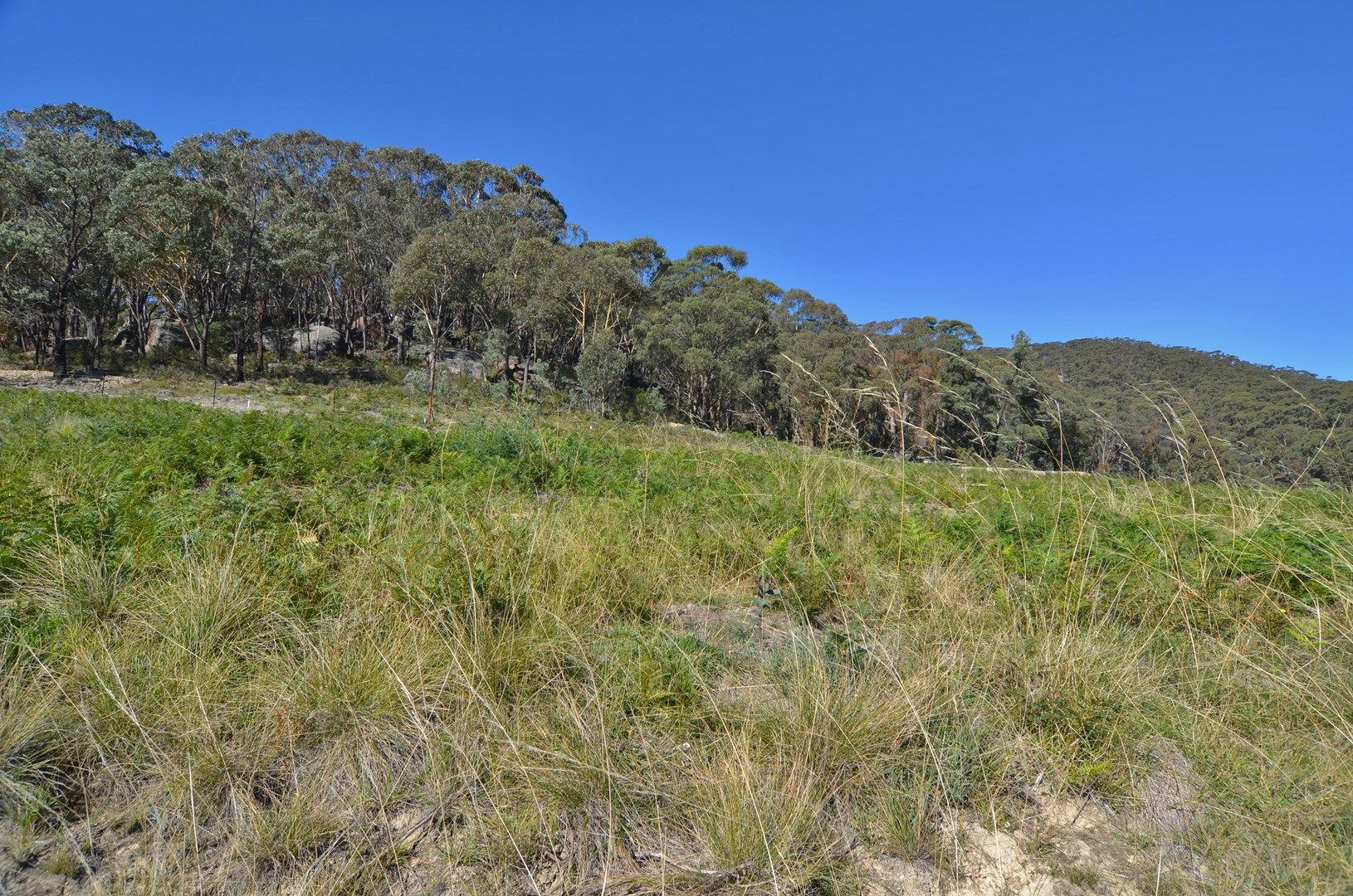 11 (Lot 2) Woodlands Drive, Lithgow NSW 2790, Image 0