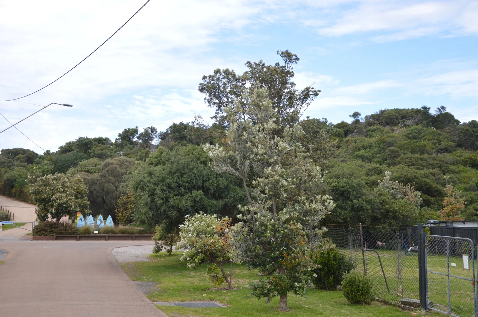 Image 11