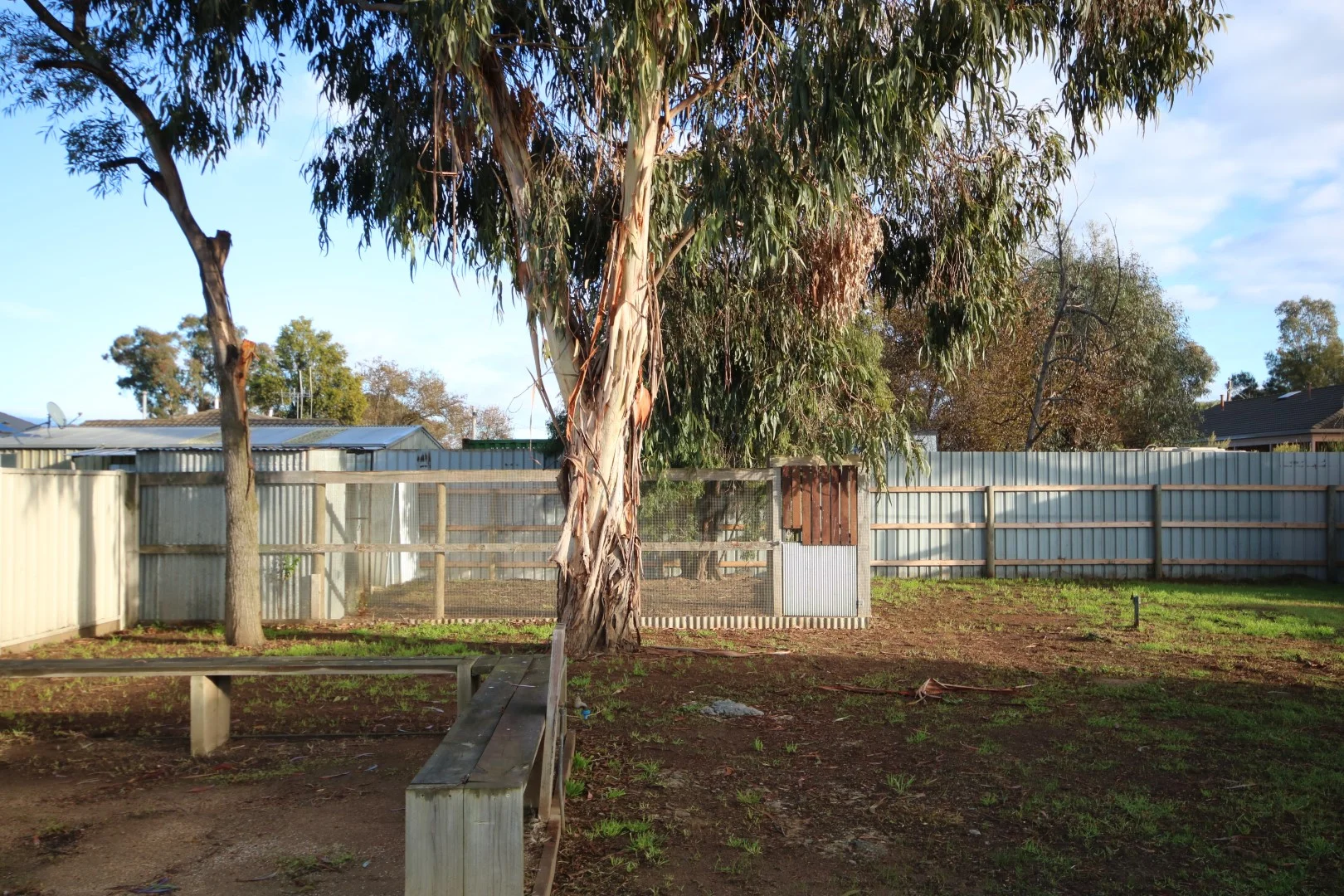 Image 15