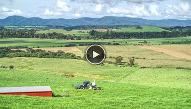 Picture of Dorrigo NSW 2453, DORRIGO NSW 2453