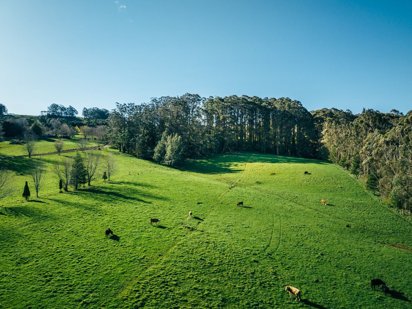 Lot 2/265 Wildes Meadow Road, Wildes Meadow NSW 2577, Image 2