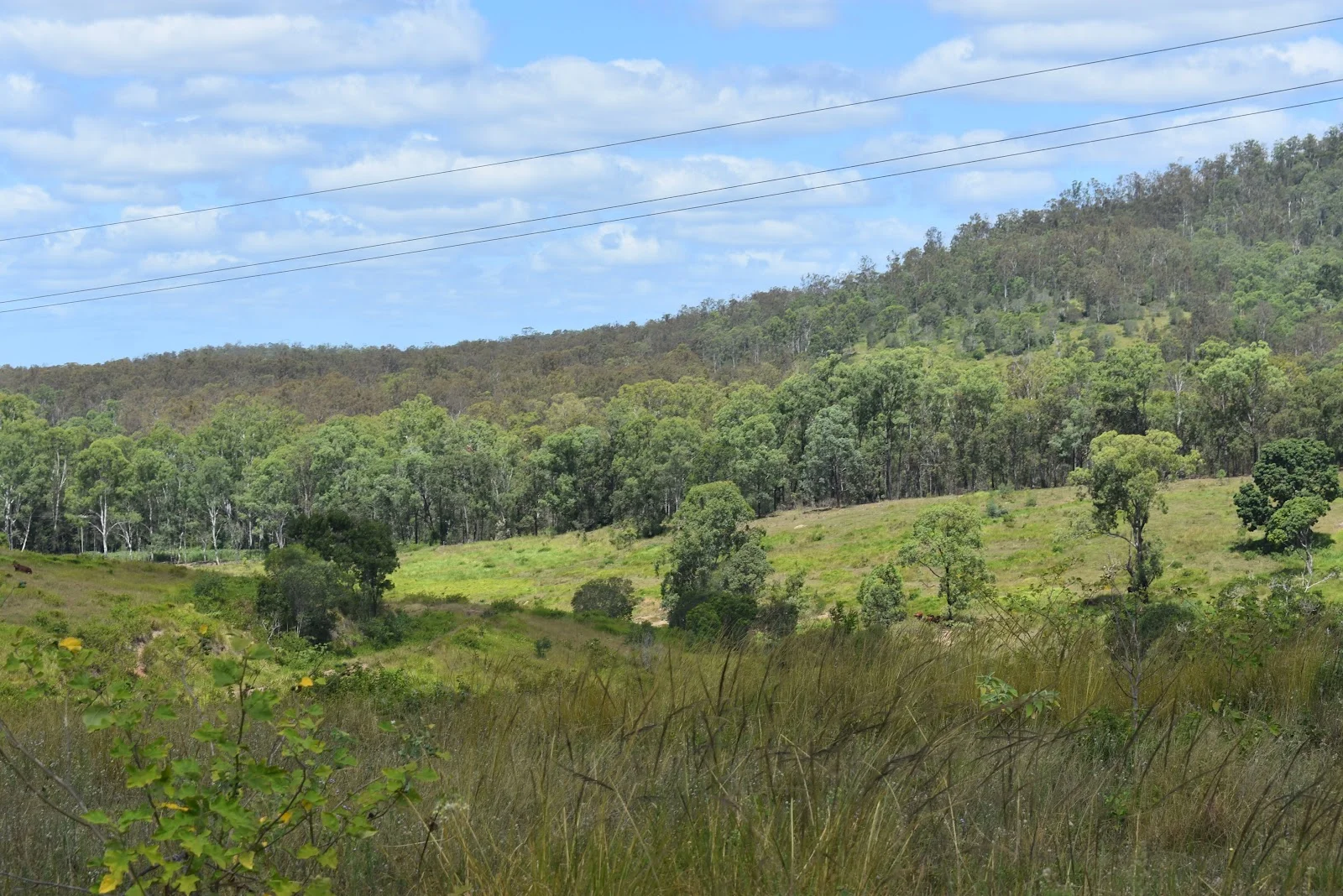 Additional image 7 of 35 Bakers Road, Bauple QLD 4650