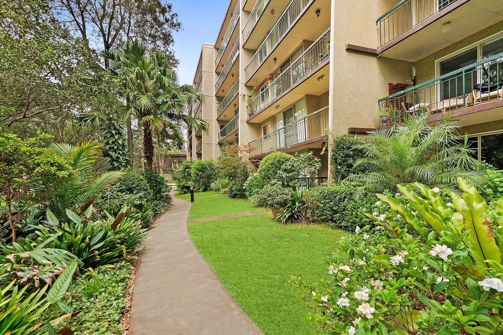 19/300B Burns Bay Road, Lane Cove NSW 2066, Image 0