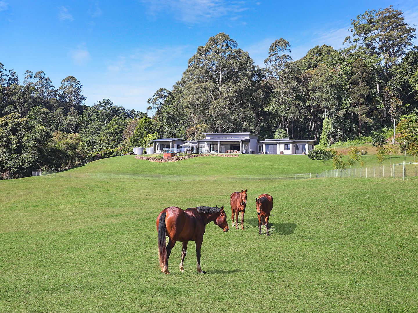 321 Western Avenue, Montville QLD 4560, Image 2