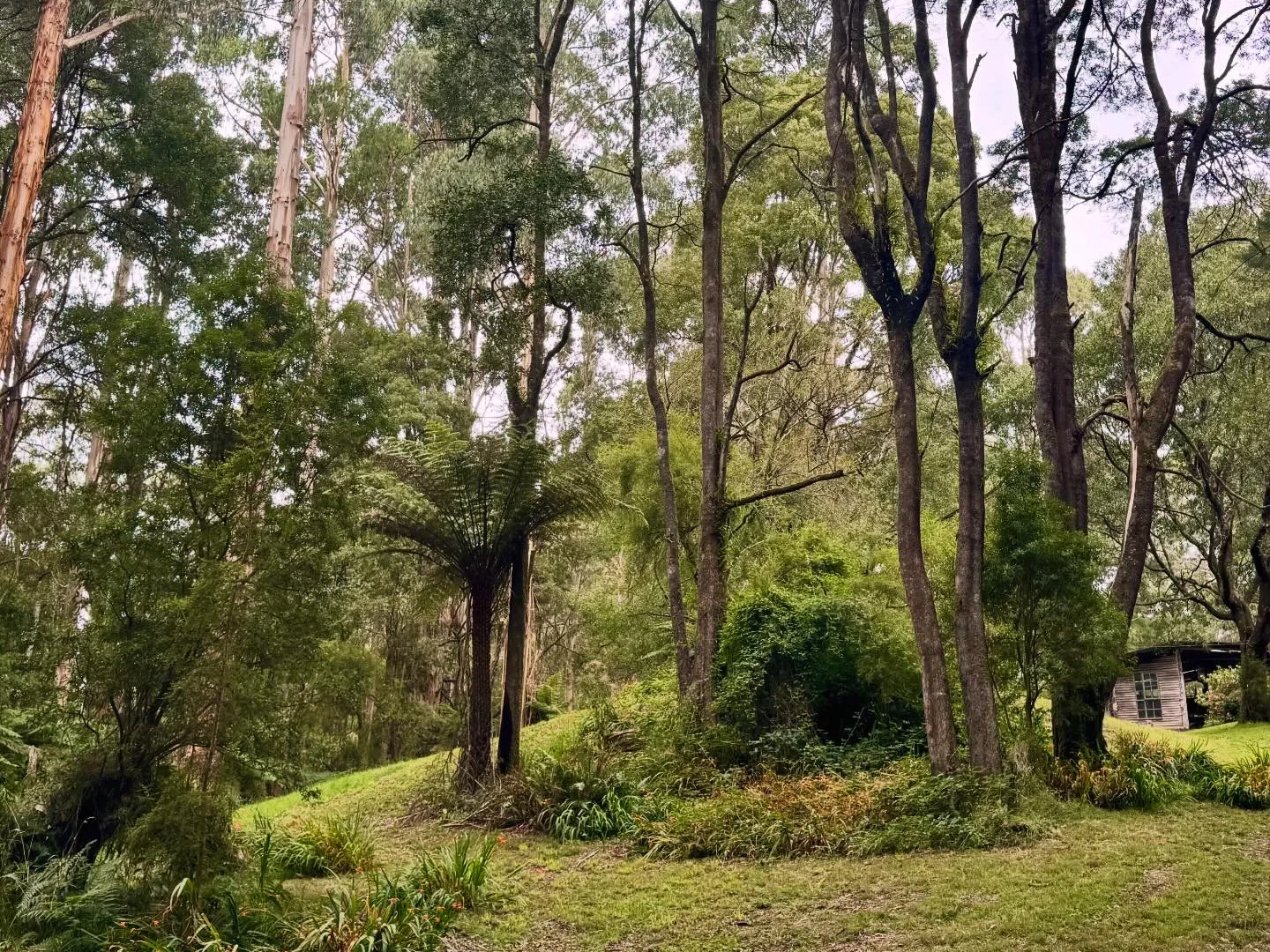 Additional image 7 of 905 Forrest-Apollo Bay Road, Barramunga VIC 3249