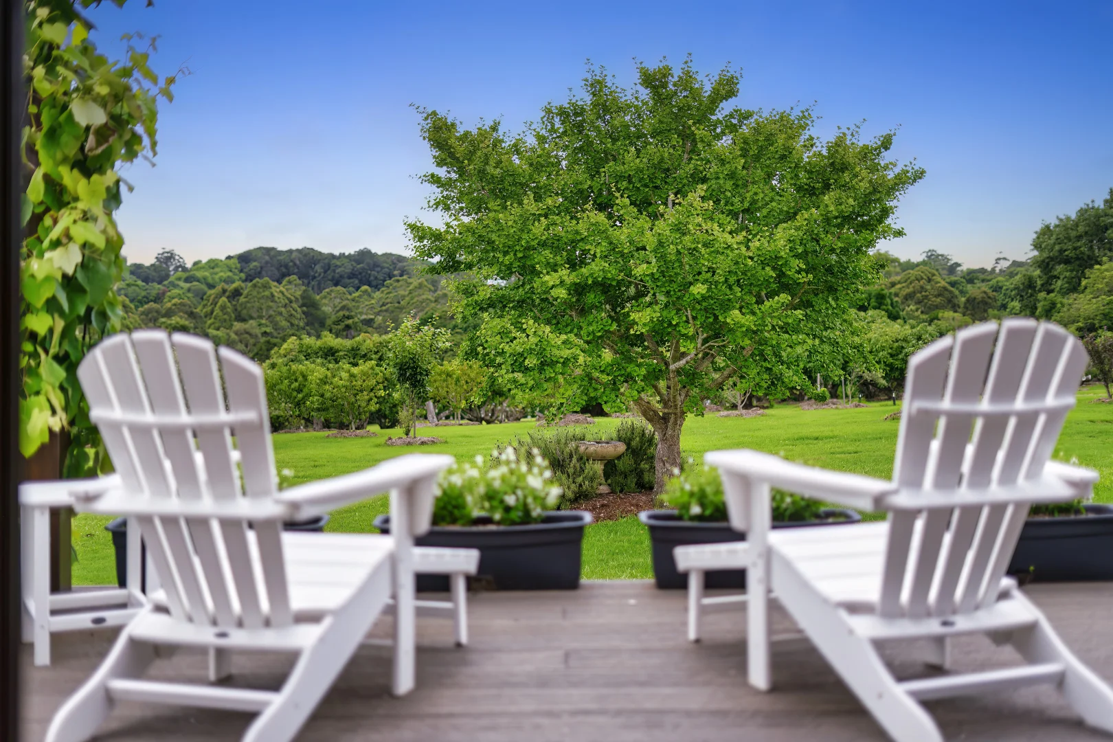 Additional image 27 of 22-42 Holt Road, Tamborine Mountain QLD 4272