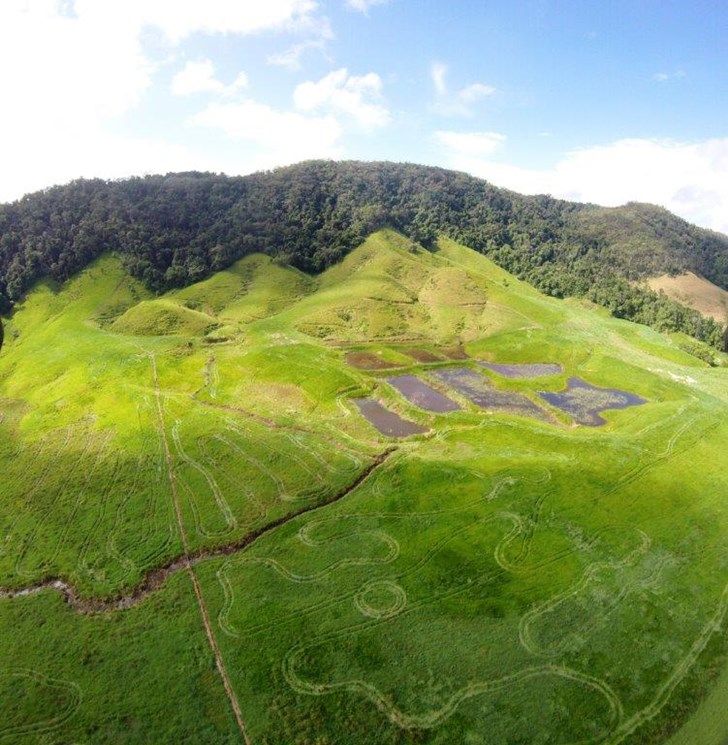 Lot  2 Stewart Creek Road (Stewart Creek Valley), Lower Daintree QLD 4873, Image 0