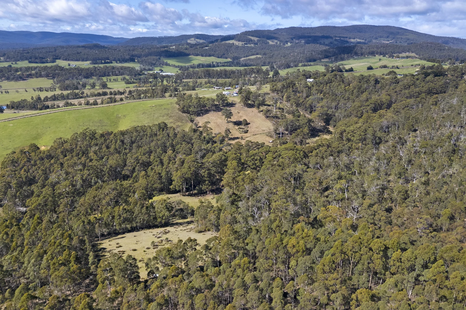 Image 35