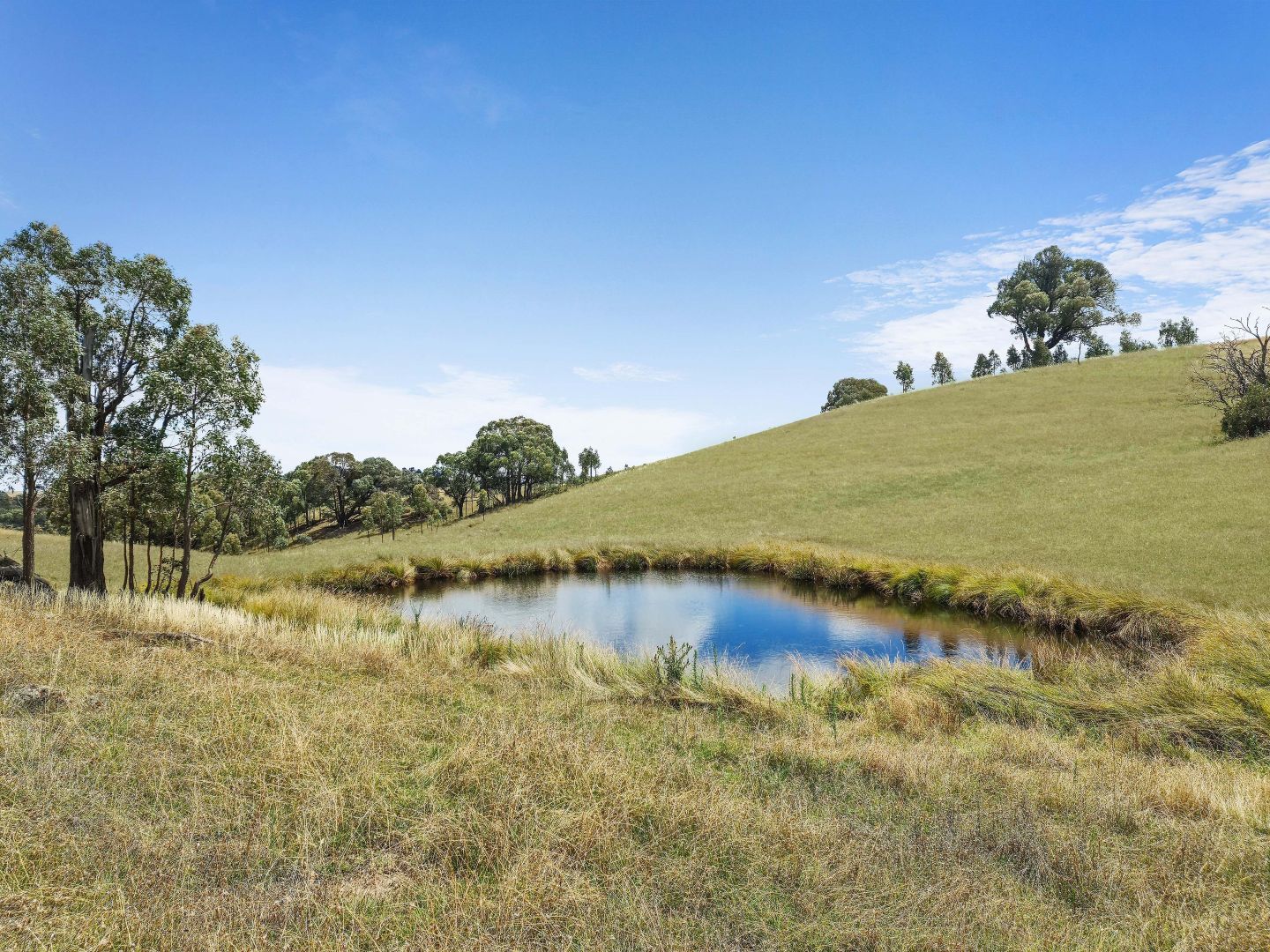 687 Murrumbateman Road, Murrumbateman NSW 2582, Image 2