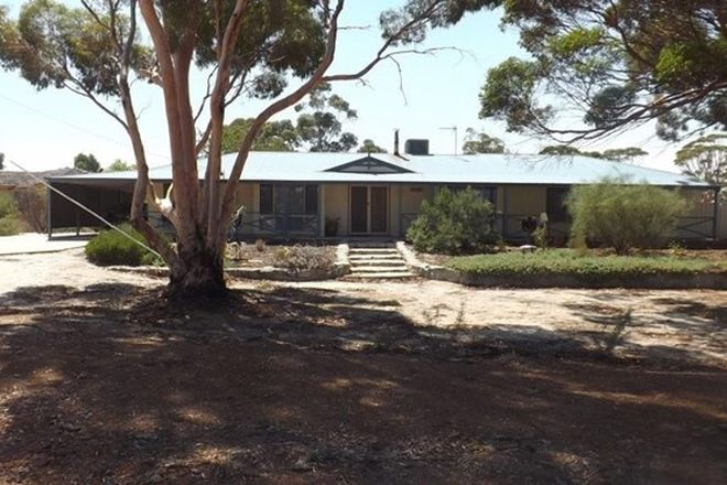 Picture of 143 Butcher Street, BRUCE ROCK WA 6418