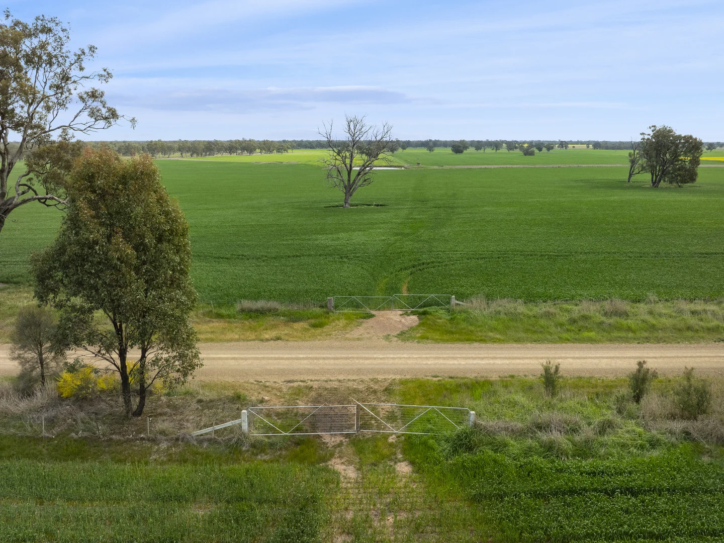 Image 15